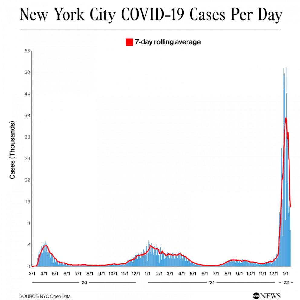 PHOTO: New York City COVID-19 cases per day