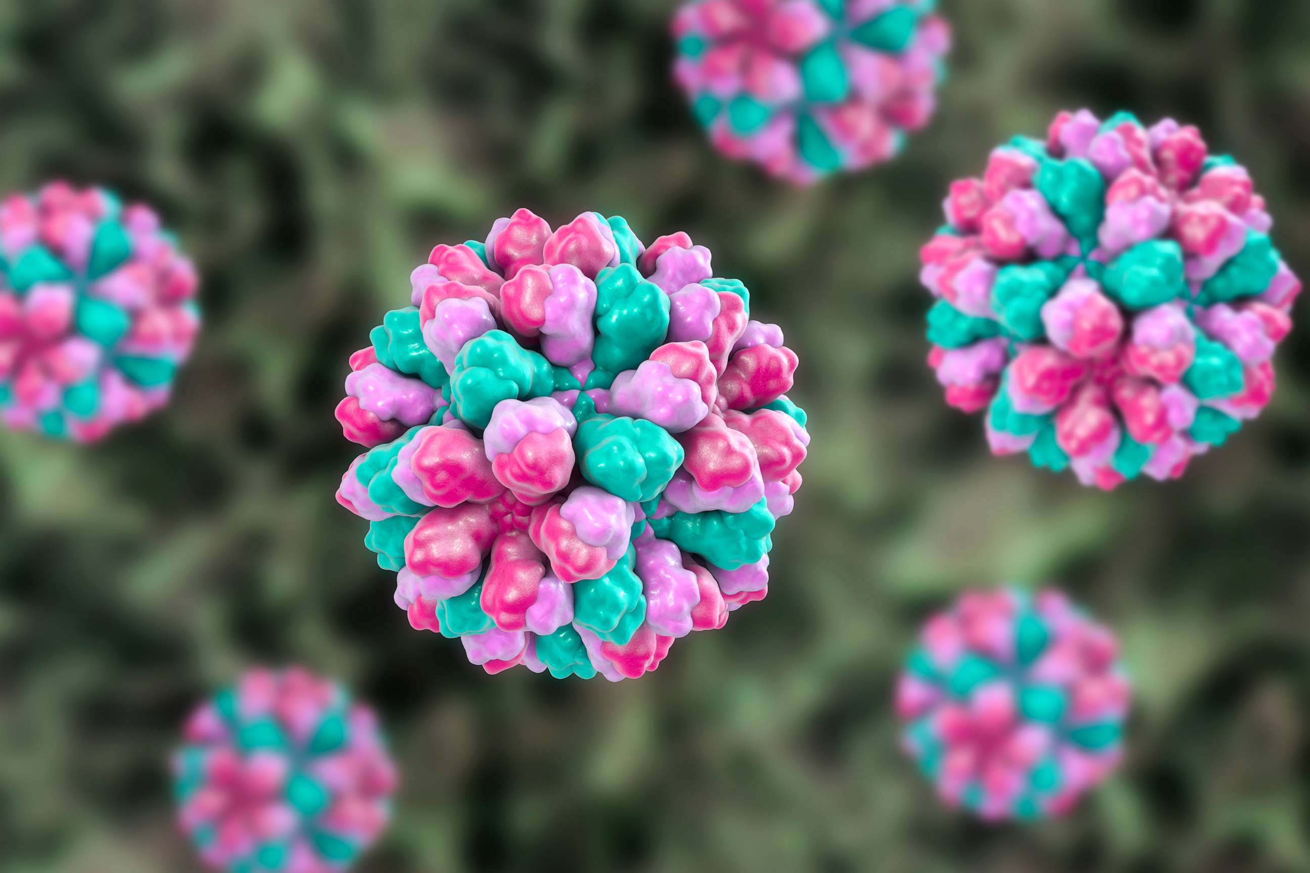 PHOTO: Norovirus, computer illustration is seen here in an undated stock photo.
