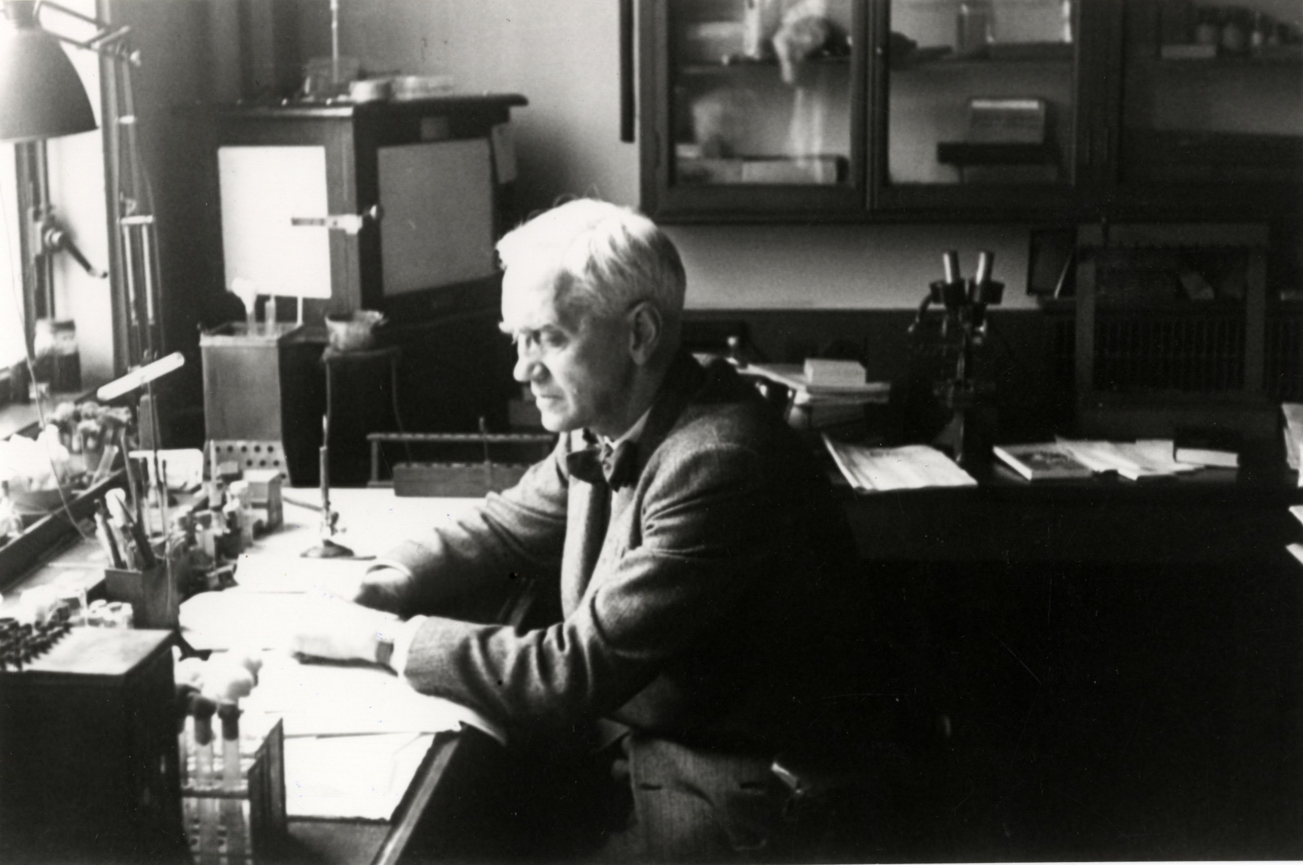 PHOTO: Sir Alexander Fleming at work in his laboratory, in this undated photo, in London.  