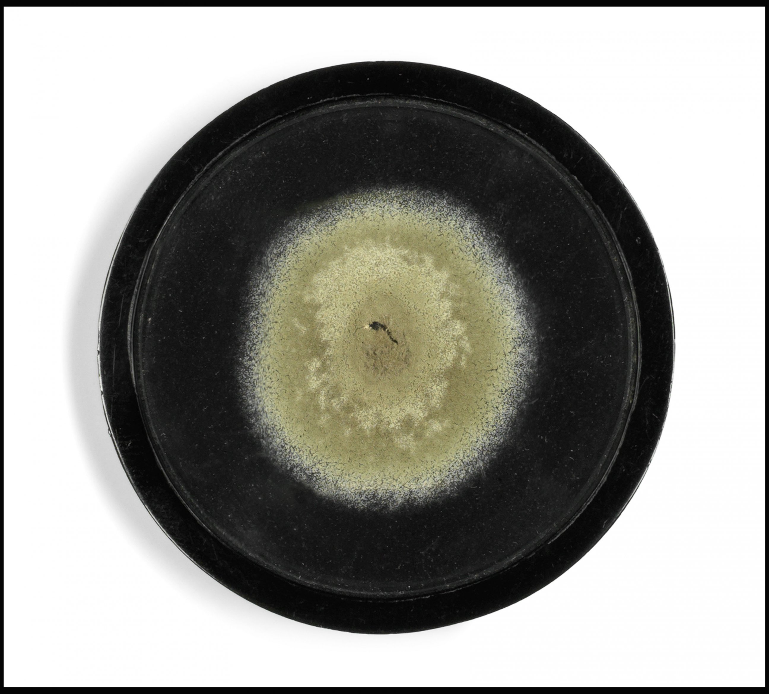 PHOTO: Two samples of mould that Sir Alexander Fleming used to produce yellow-green Penicillium Notatum fungus, are contained on a glass disc and date back to the 1930's when Fleming was developing his 1928 discovery of penicillin.
