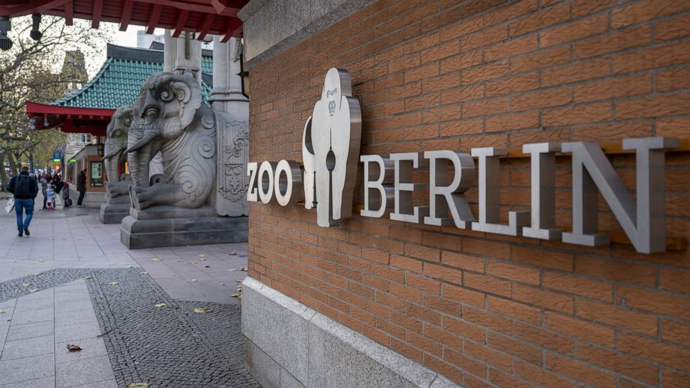 Le zoo de Berlin ferme ses portes aux visiteurs suite à un cas de grippe aviaire