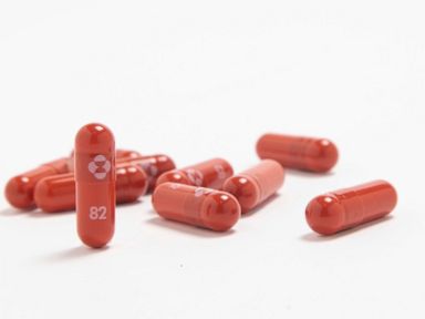  FDA unlikely to rule on Mercks COVID pill before December