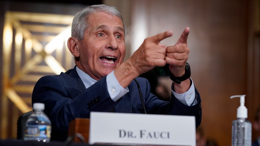 Fauci, Paul clash on virus origins, trade charges of lying