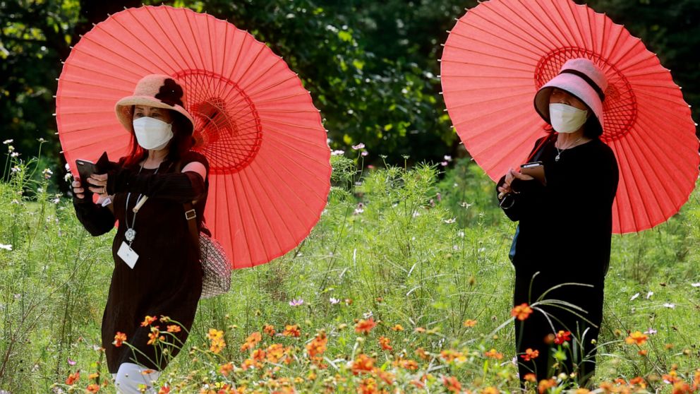 People wearing face masks to protect against the spread of the coronavirus enjoy the field of cosmos at the Hamarikyu Gardens in Tokyo, Tuesday, Sept. 21, 2021. (AP Photo/Koji Sasahara)