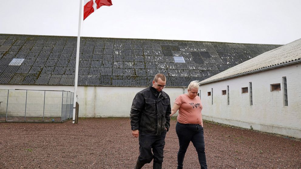 Peter and Trine Brinkmann Nielsen put their flag to halfmast at the Norden mink farm, after the government called for the culling of minks, in Boerglum Kloster, Denmark. Thursday, Nov. 5, 2020. Denmark's prime minister says the government wants to cu