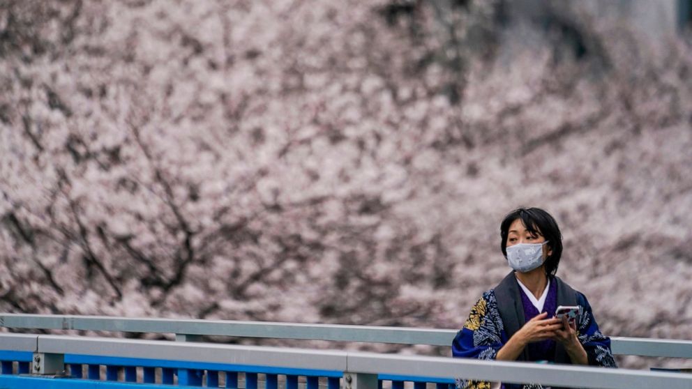Japan enjoys cherry flower season despite COVID-19 worries