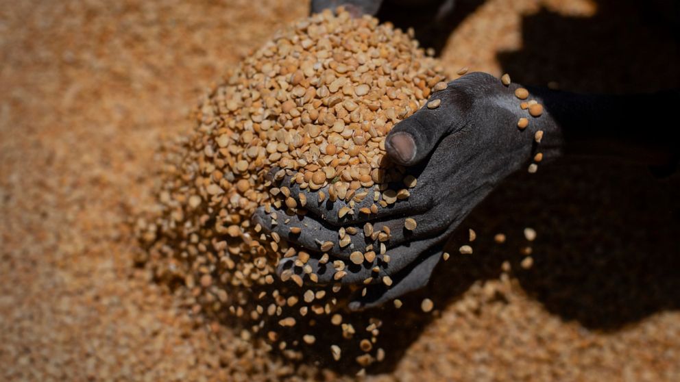 FILE - An Ethiopian woman scoops up portions of yellow split peas to be allocated to waiting families after it was distributed by the Relief Society of Tigray in the town of Agula, in the Tigray region of northern Ethiopia, on May 8, 2021. Nearly 1,5