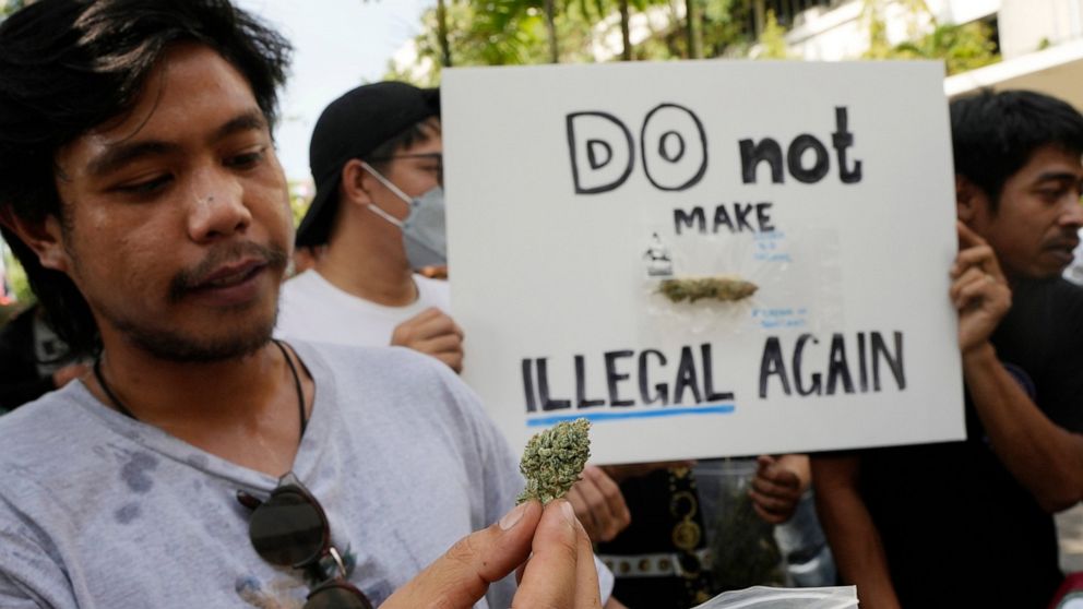 A cannabis supporter holds a piece of cannabis during a demonstration outside the Government House in Bangkok, Thailand, Tuesday, Nov. 22, 2022. Thailand made it legal to cultivate and possess marijuana for medicinal purposes earlier this year, but l