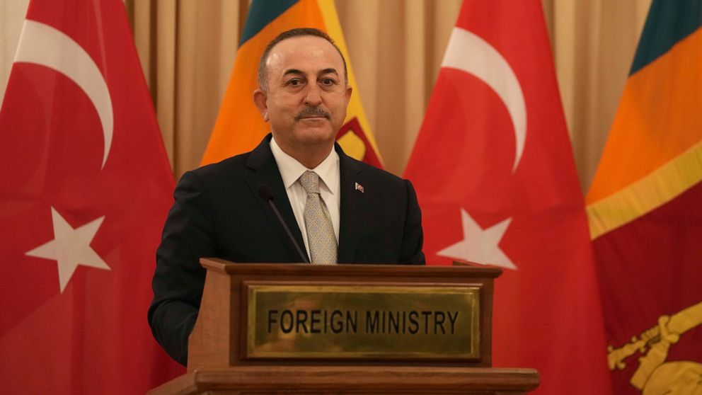 Turkey's foreign minister tests positive for COVID-19