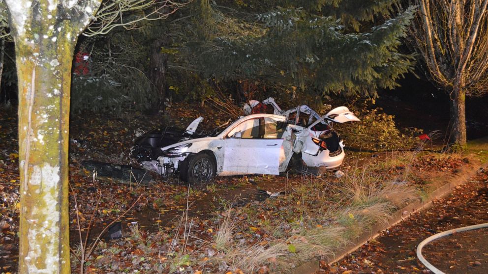 FILE - In this Nov. 17, 2020, file photo provided by the Corvallis Police Department is the scene where an Oregon man crashed a Tesla while going about 100 mph, destroying the vehicle, a power pole and starting a fire when some of the hundreds of bat