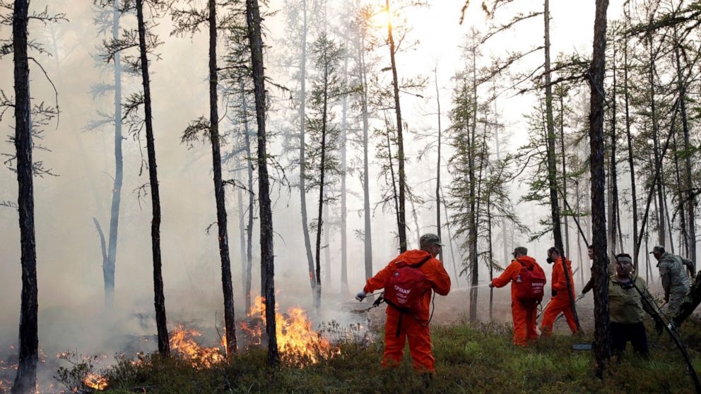 Russia's Putin urges stronger response to Siberian wildfires