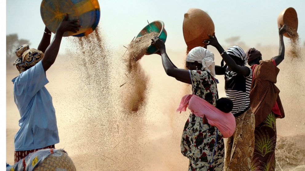 ONU : Les chocs climatiques et la guerre alimentent de multiples crises alimentaires imminentes