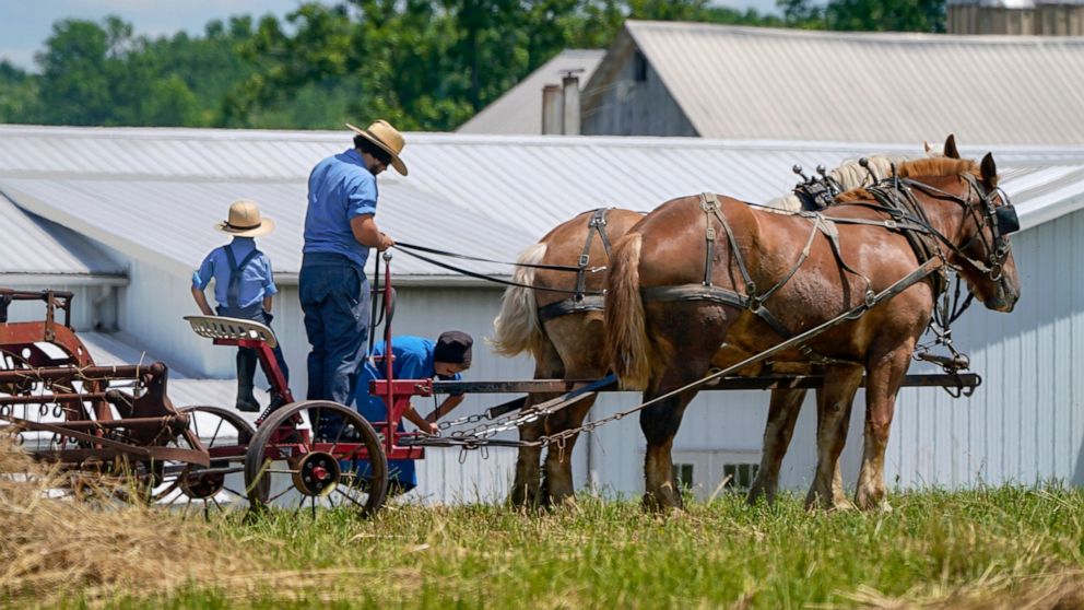 Amish relied on God’s will and herd immunity for vaccines