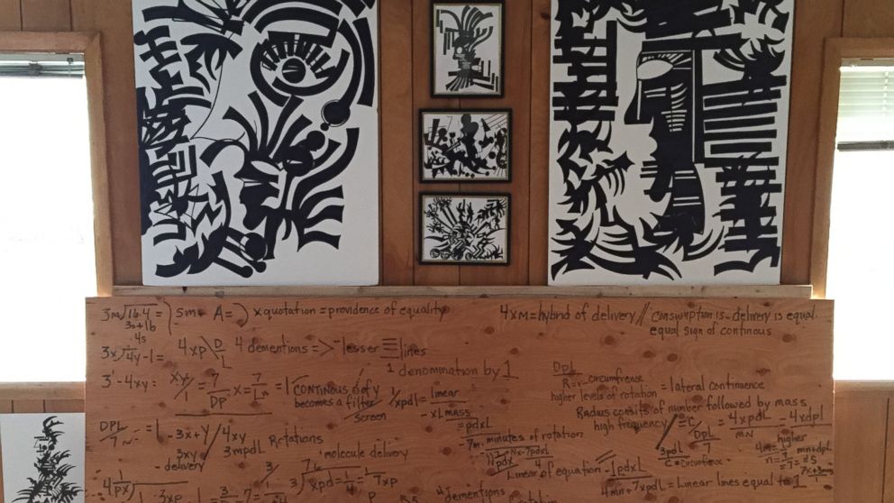 Leigh Erceg's home is now filled with mathematical equations and art -- her interpretations of how she sees the world.