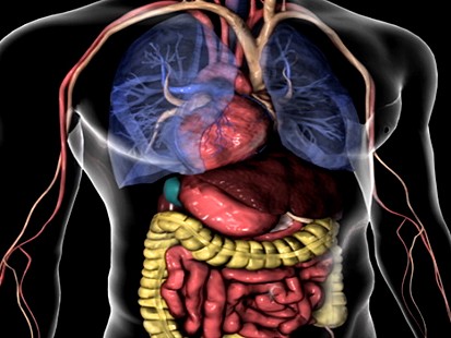VIDEO: See How A Patients Oragns Are Reversed