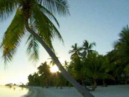 VIDEO: Health Nuts for Coconuts
