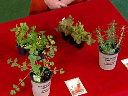 VIDEO: Learn to Tend Your Own Garden