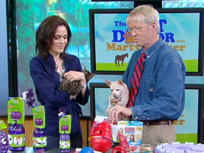 VIDEO: Why changing your pets feeding routine may help behavioral problems.