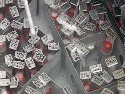 VIDEO: Should Egg And Sperm Donors Be Genetically Tested?