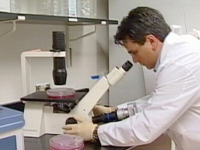 Research on adult intestinal stem cells does not violate church teachings.
