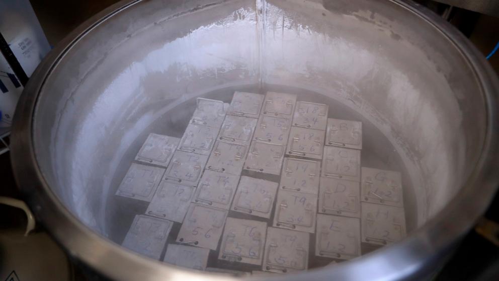 PHOTO: In this Oct. 2, 2018, photo, containers holding frozen embryos and sperm are stored in liquid nitrogen at a fertility clinic in Fort Myers, Fla. The Alabama Supreme Court ruled Feb. 16, 2024, frozen embryos can be considered children under law.