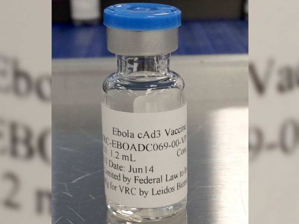 PHOTO: An undated photo from National Institute of Allergy and Infectious Diseases and GlaxoSmithKline shows a vaccine candidate that will be used in the upcoming human trials.