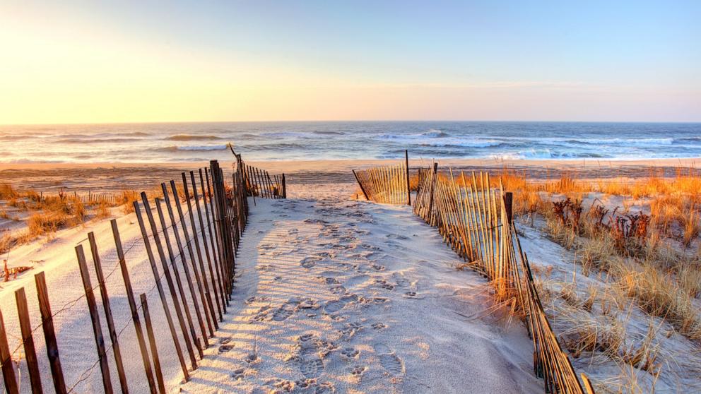 High levels of bacteria in water lead to multiple beach closures across ...