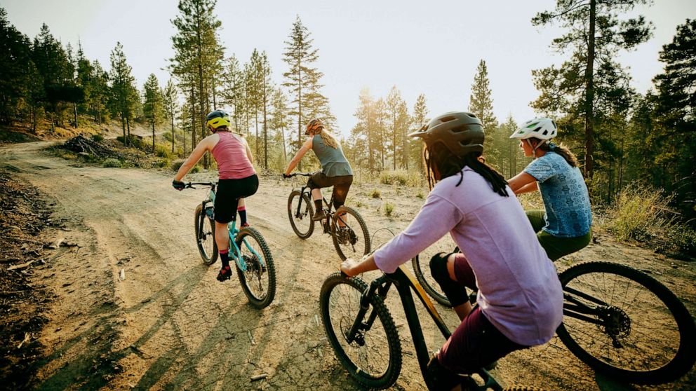 PHOTO: People bike along a path in this stock photo.