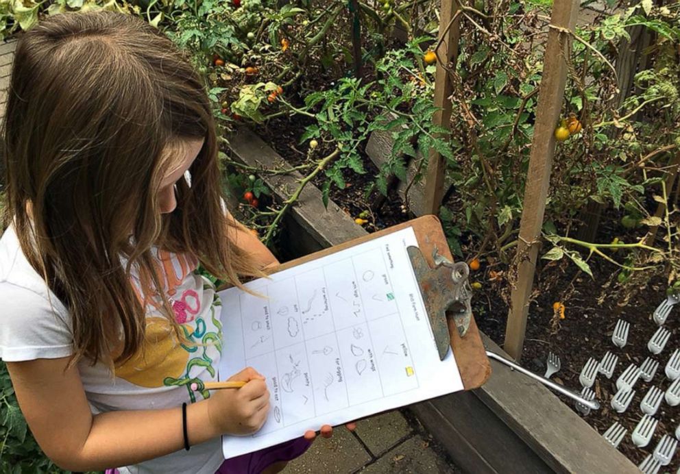 PHOTO: A student draws pictures of vegetables in the Brooklyn New School garden in Brooklyn, New York.