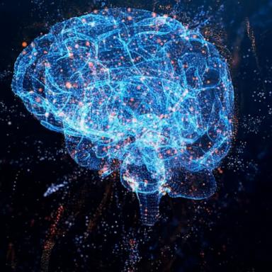 Researchers hope that understanding more about the brain and how its different cells function could be the key to treating brain diseases. 