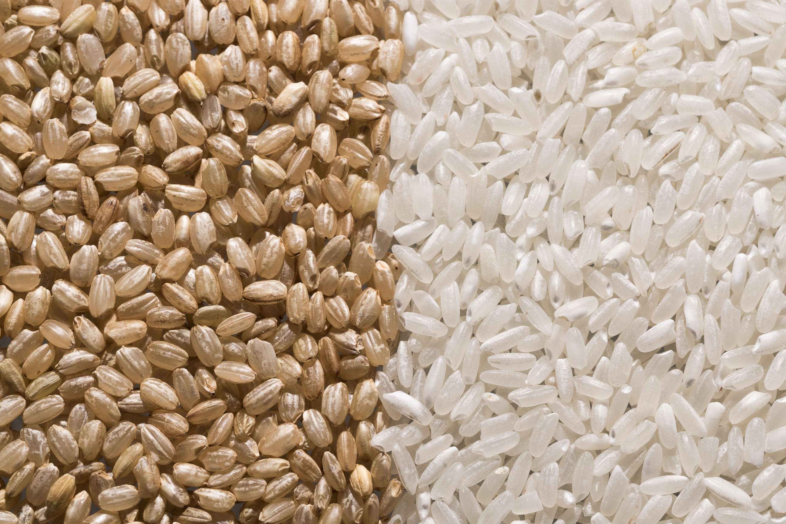 PHOTO: Brown rice and white rice are pictured in this undated stock photo.