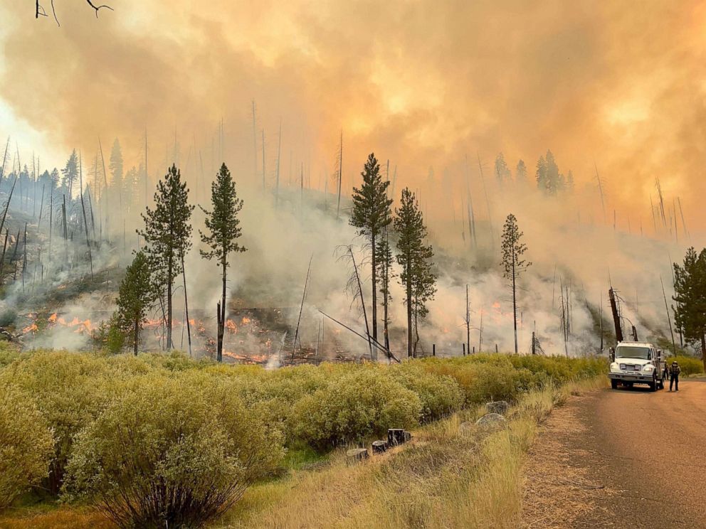 PHOTO: A handout photo made available by InciWeb and the US Forest Service (USFS) shows firefighters holding and patrolling the containment line of the Walker Fire, in Plumas County, Calif., Sept 12, 2019.