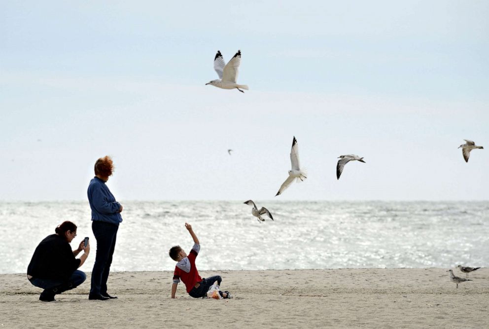 PHOTO: A family feeds seagulls on the beach in Cape May, New Jersey, Oct. 27, 2012.