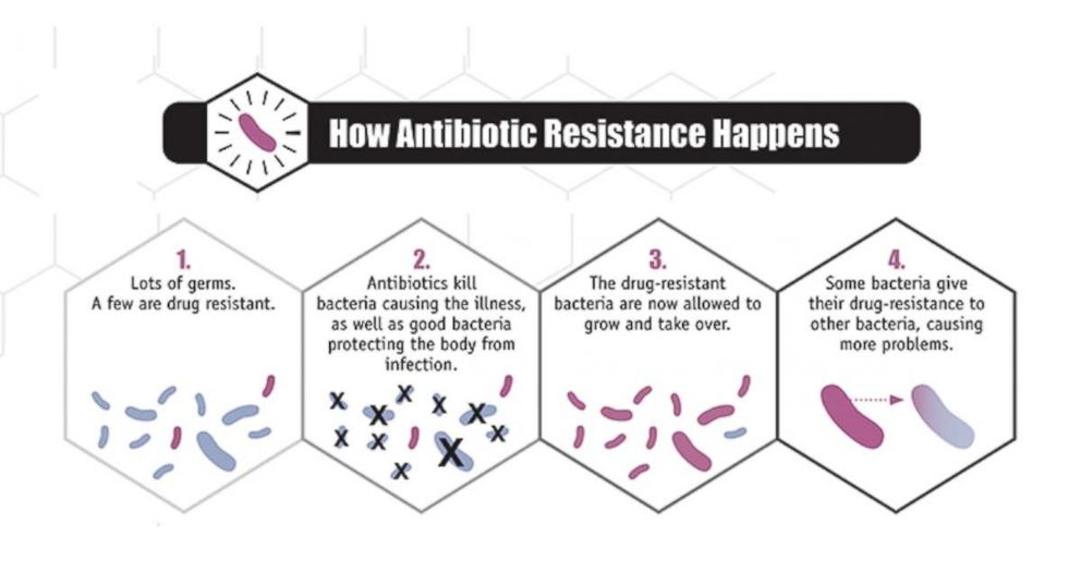 GRAPHIC: A graphic from the CDC shows how antibiotic resistance happens.