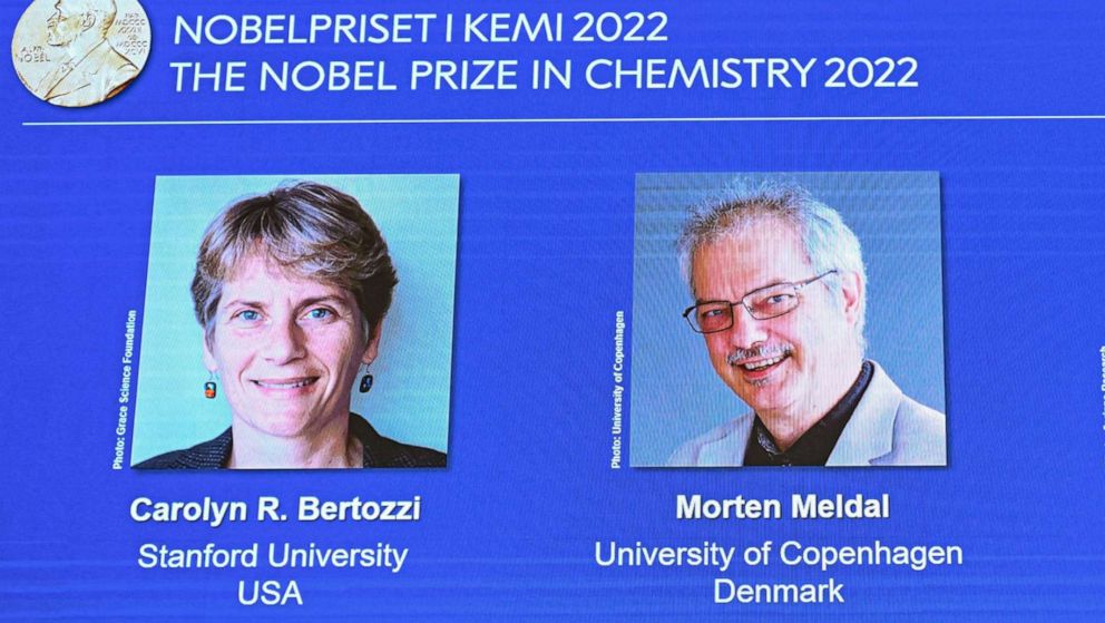 2024 Nobel Prize Winners In Chemistry Peta Trudey