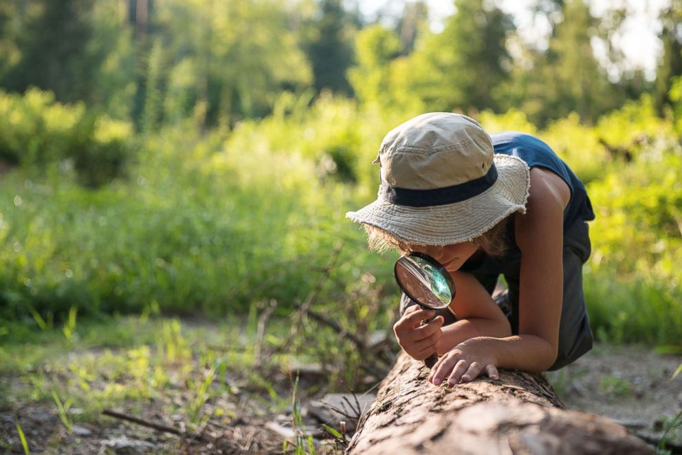 PHOTO: A young boy explores a forest in this undated stock photo.