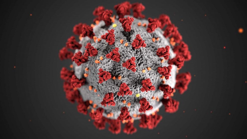 PHOTO: This illustration, created at the CDC, reveals ultrastructural morphology exhibited by coronaviruses. The illness caused by the novel coronavirus has been named COVID-19.