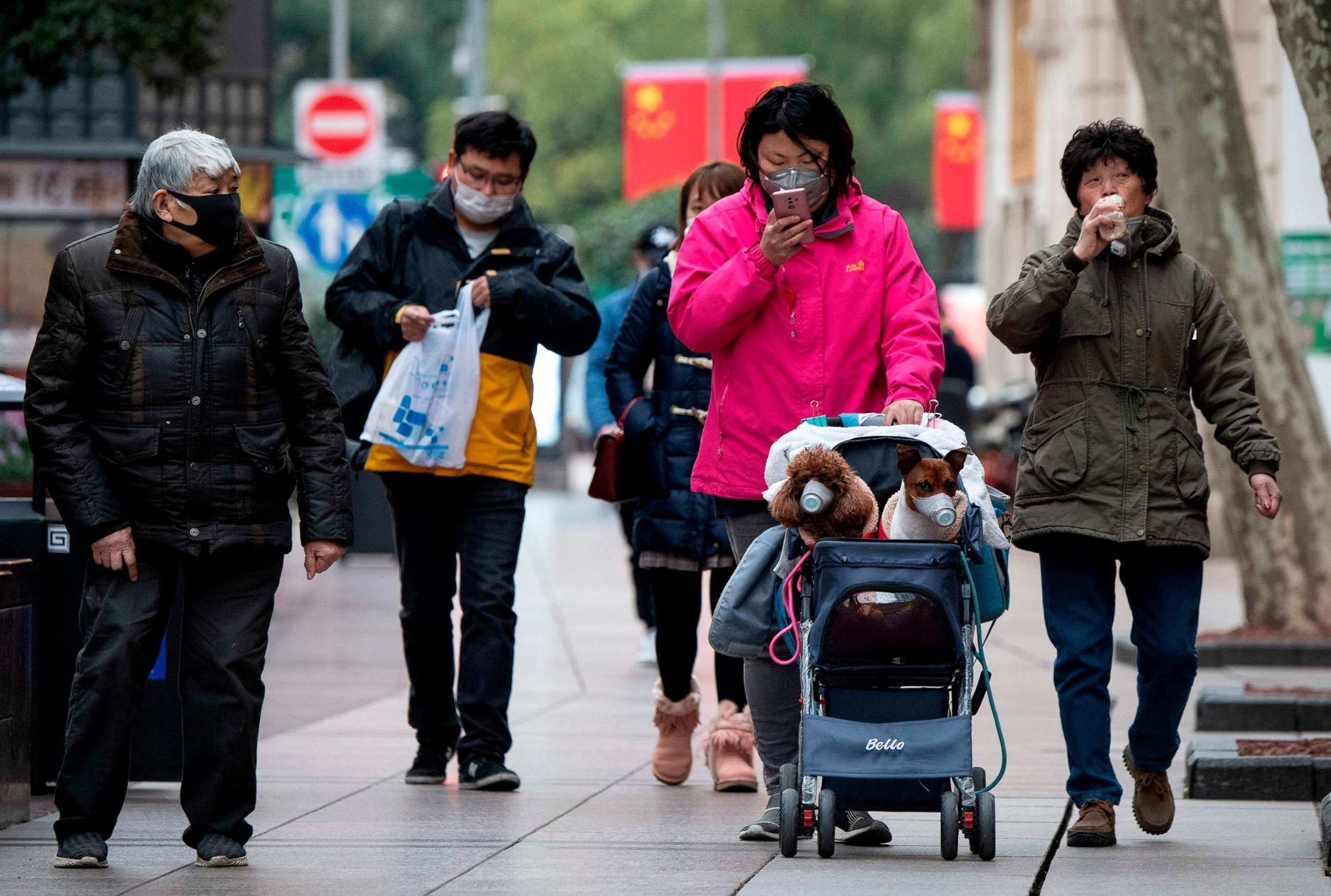 PHOTO: A woman wearing a protective facemask pushes a stroller with two dogs wearing masks along a street in Shanghai on Feb. 19, 2020.