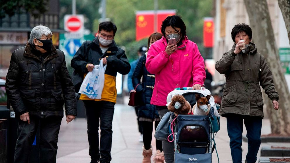 PHOTO: A woman wearing a protective facemask pushes a stroller with two dogs wearing masks along a street in Shanghai on Feb. 19, 2020.