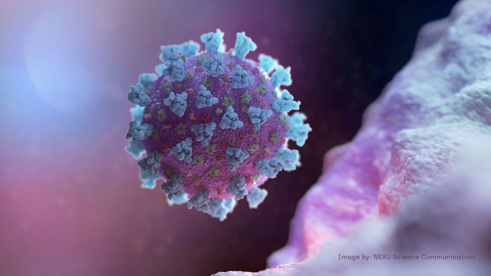 PHOTO: A computer image created by Nexu Science Communication together with Trinity College in Dublin, shows a model structurally representative of a betacoronavirus which is the type of virus linked to COVID-19, February 18, 2020.