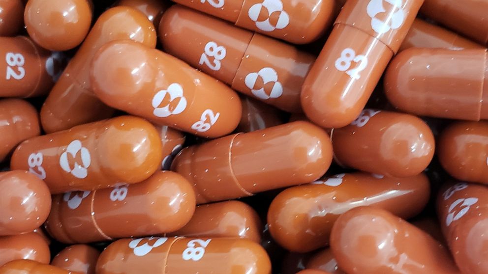 FILE PHOTO: An experimental COVID-19 treatment pill called molnupiravir being developed by Merck & Co Inc and Ridgeback Biotherapeutics LP, is seen in this undated handout photo released by Merck & Co Inc and obtained by Reuters May 17, 2021. 