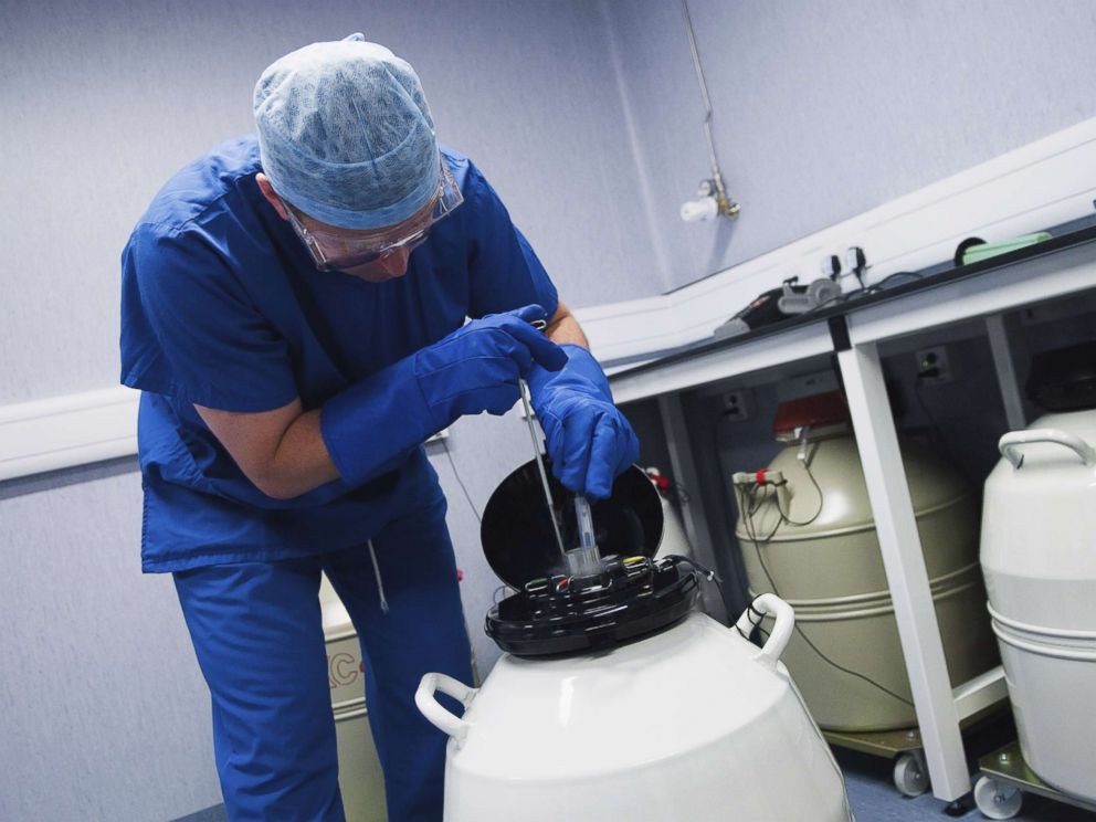 PHOTO: Doctor removing embryo samples from cryogenic storage, Fertilized embryos are stored in liquid nitrogen filled tanks to keep them as new if patients require them at a later date.