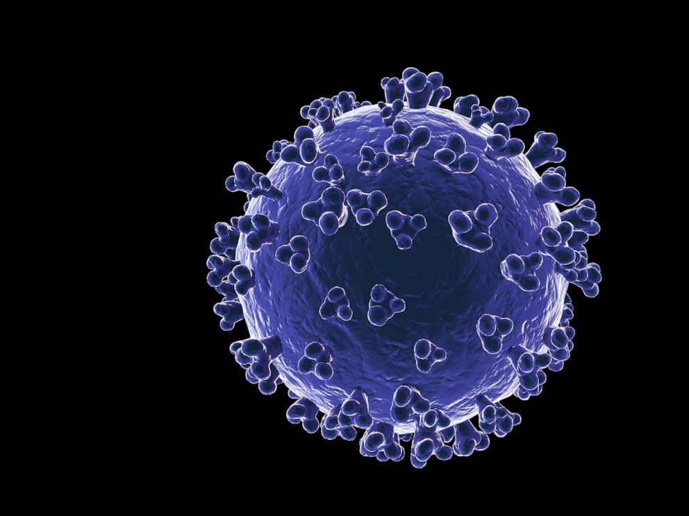 PHOTO: A 3D model shows the structure of the Covid-19 virus.