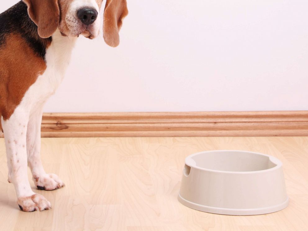 Pet food recalled after at least 70 dogs die, 80 sickened FDA Good