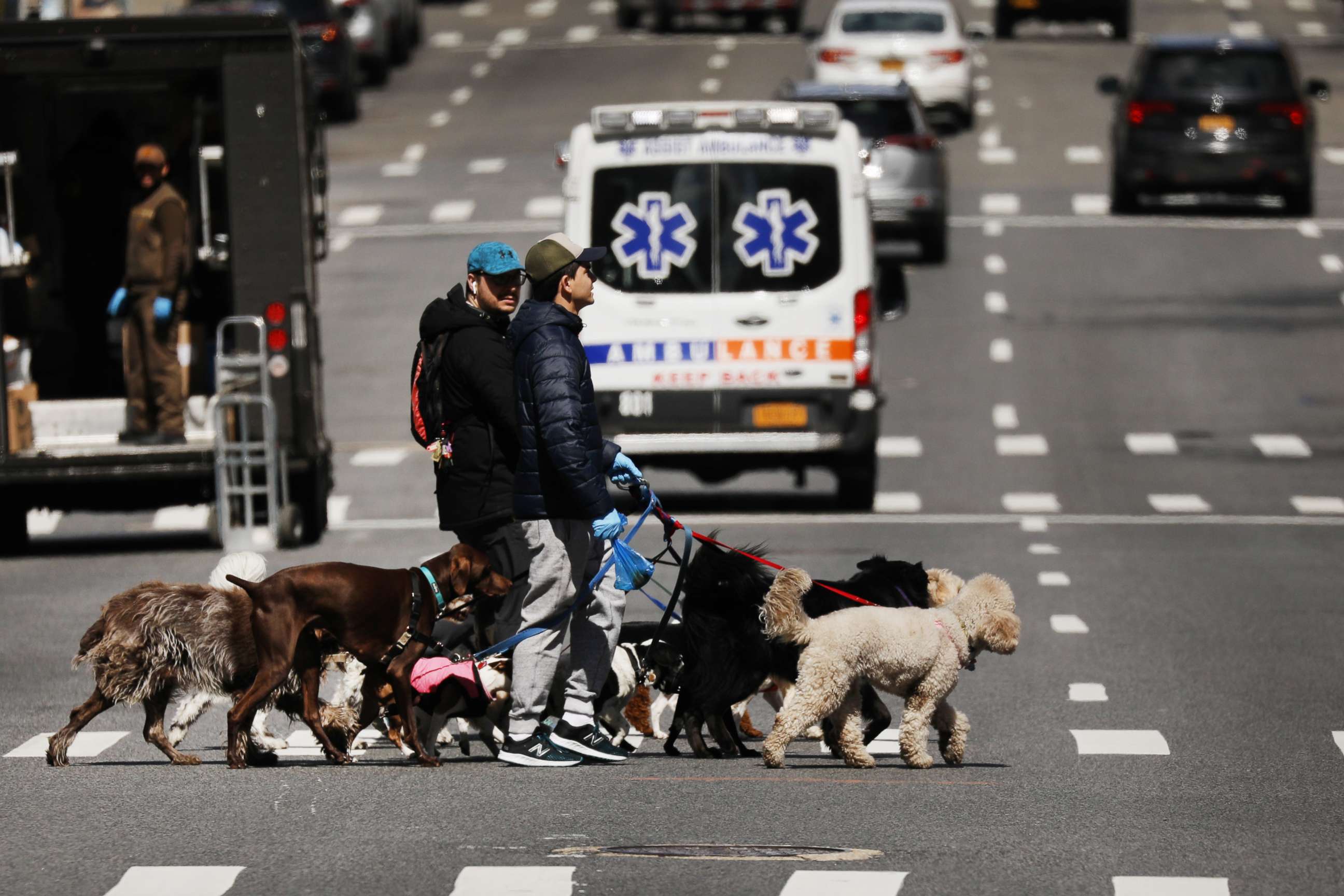 PHOTO: A dog walker walks outside of Mount Sinai Hospital amid the coronavirus pandemic on April 1, 2020, in New York City. 