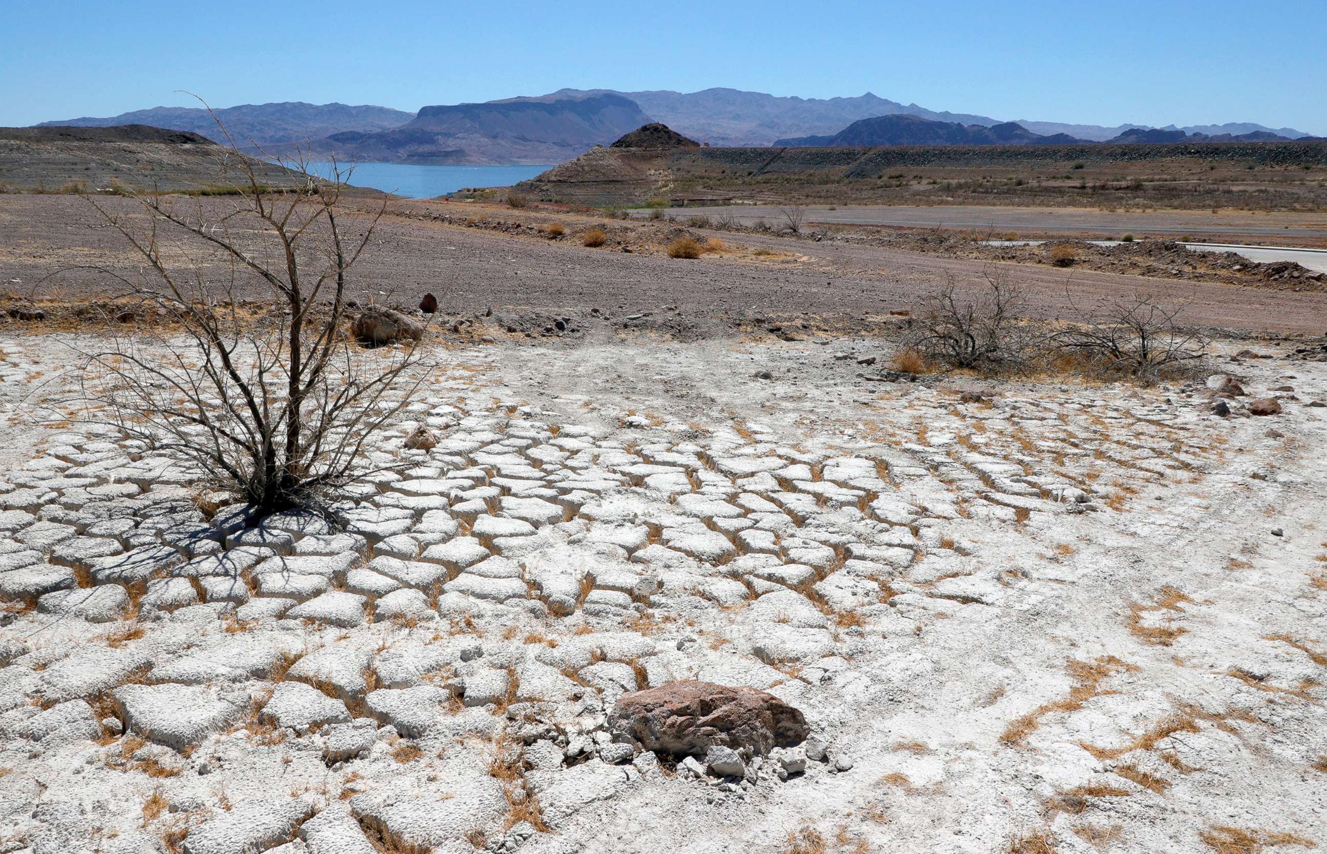 PHOTO: Lake Mead is seen in the distance behind a dead creosote bush in an area of dry, cracked earth that used to be underwater near where the Lake Mead Marina was once located on June 12, 2021 in the Lake Mead National Recreation Area, Nevada.