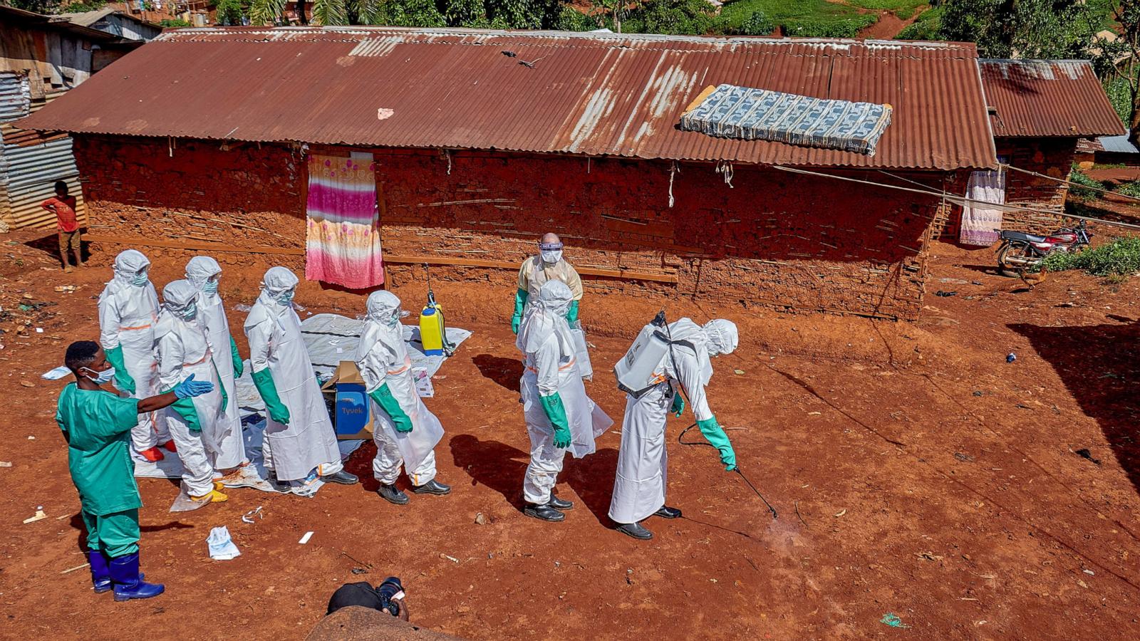 Ebola outbreak in Africa 'likely far worse' than official figures suggest, IRC warns