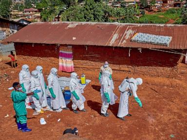 Ebola outbreak in Africa 'likely far worse' than official figures suggest, IRC warns