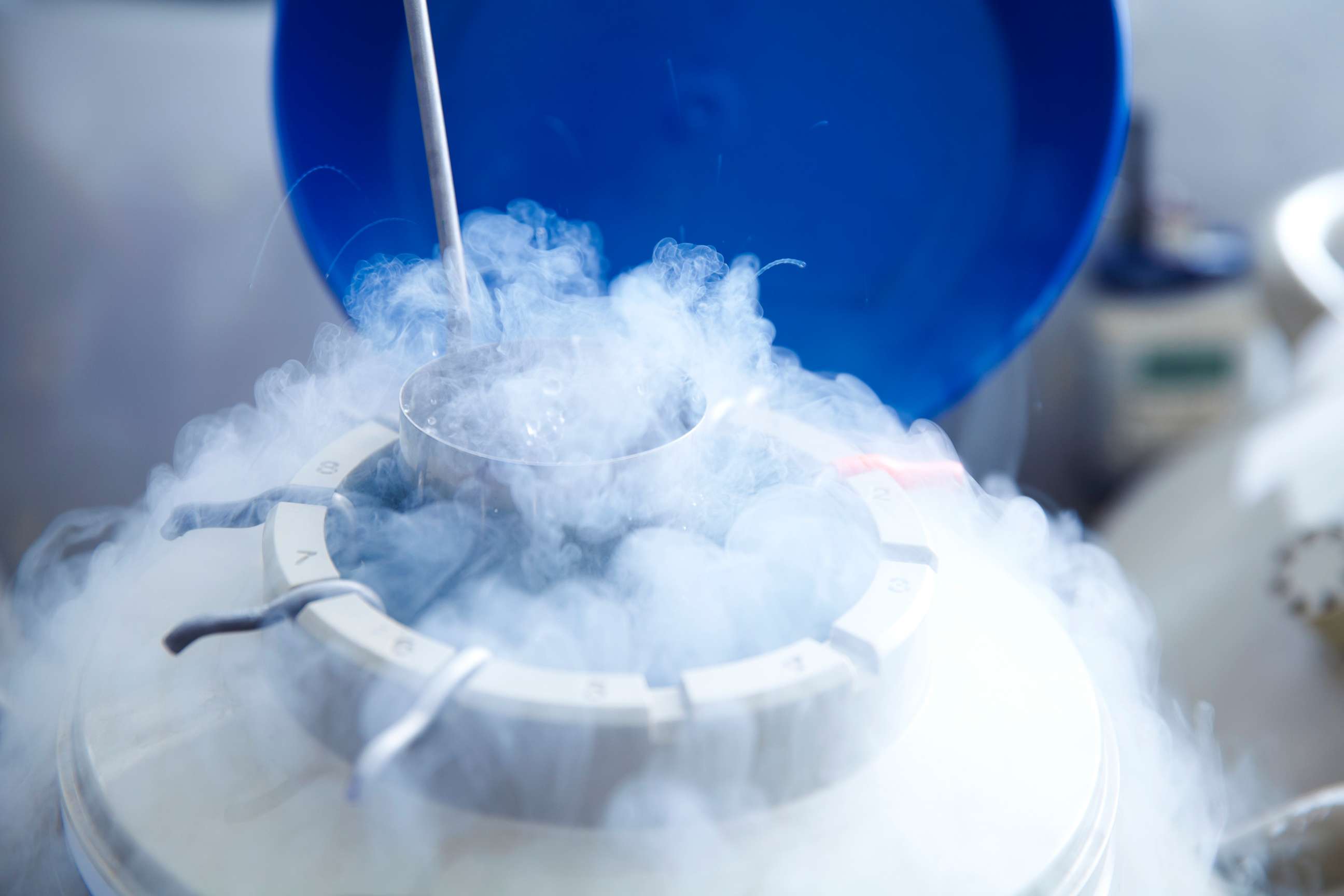 PHOTO: An undated stock photo of egg storage for in vitro fertilisation (IVF) in cryogenic (frozen) storage.