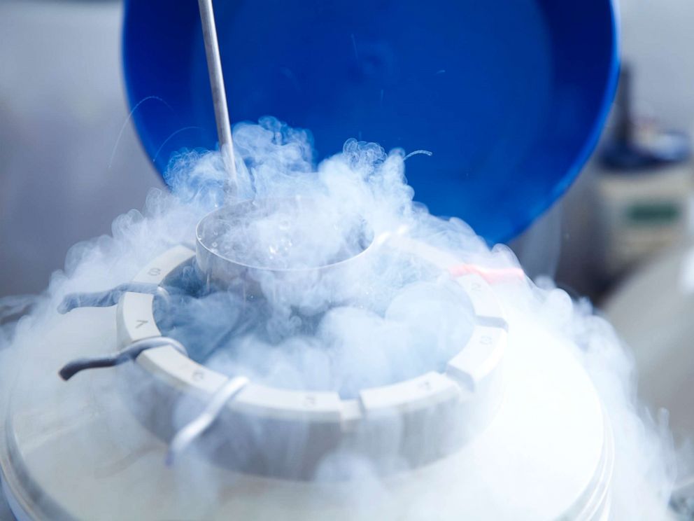 PHOTO: An undated stock photo of egg storage for in vitro fertilisation (IVF) in cryogenic (frozen) storage.
